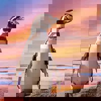 Menu foto vrijwilligerswerk Zuid Afrika 