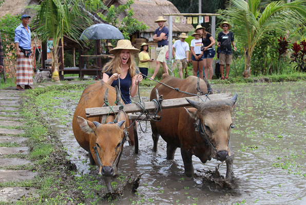 Java en Bali jongerenreis op een os
