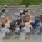 Java en Bali jongerenreis cultuur foto