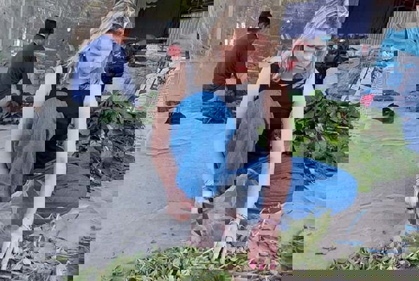 Community & Cultuur project Vietnam kruiden snijden 