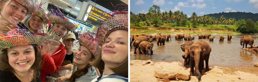 Sri Lanka jongerenreis en olifanten