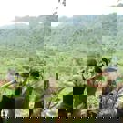 Sumatra vrijwilligerswerk orang oetan spotten 