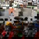 Sumatra vrijwilligerswerk orang oetan onderwijs project 