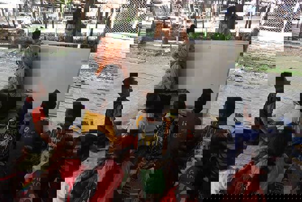 Sumatra vrijwilligerswerk orang oetan onderwijs project 