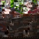 Eco-leer centrum voor Permakultuur en onderwijs in Thailand vrijwilligerswerk muurtje bouwen