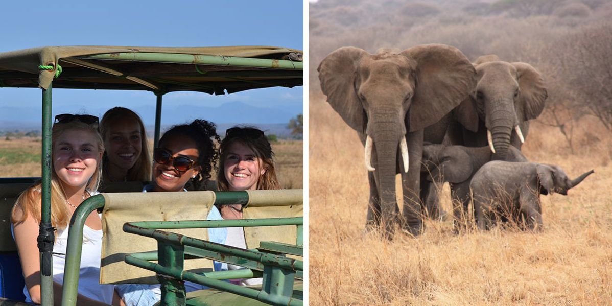 Safari jongerenreis tussenjaar