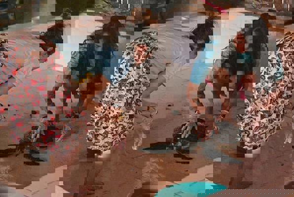 Combinatie project Sumatra met de schildpadden 