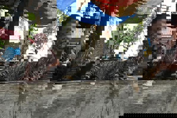 Combinatie project Sumatra foto van mensen uit het dorpje 